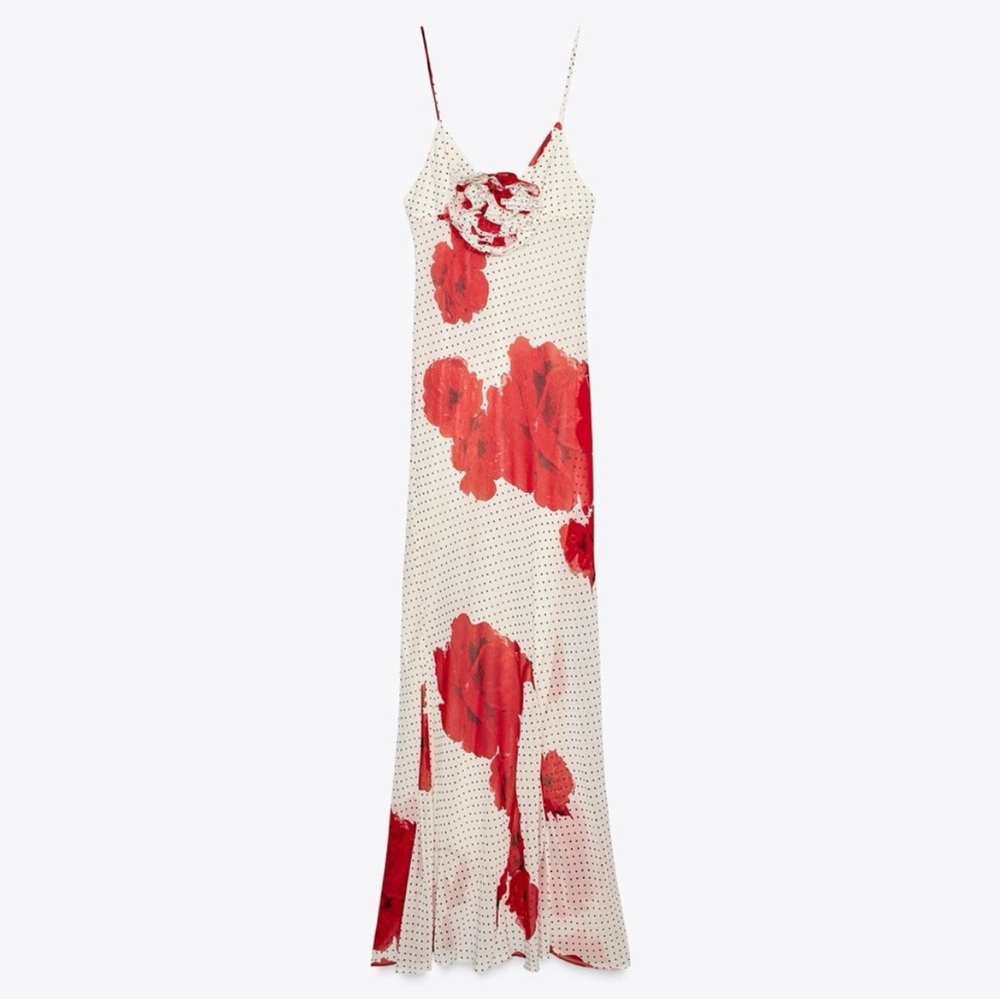Zara Red and White Floral Maxi Dress